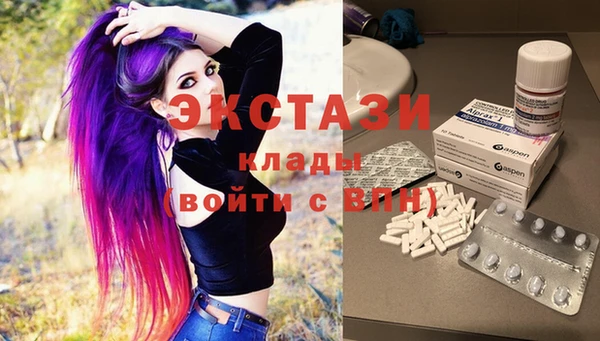 хмурый Магас