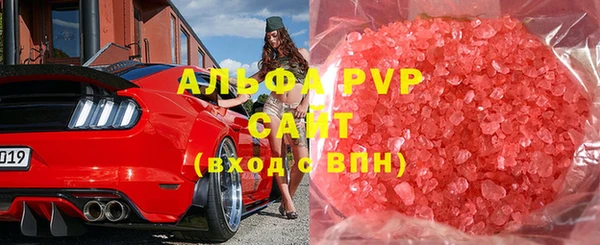 хмурый Магас