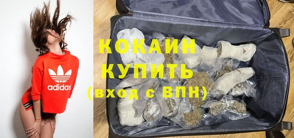 шишки Алапаевск