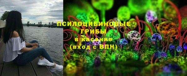 дмт Медвежьегорск