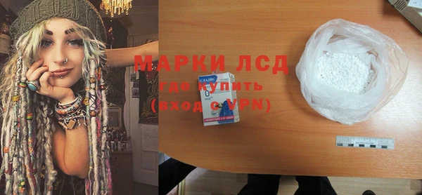 хмурый Магас