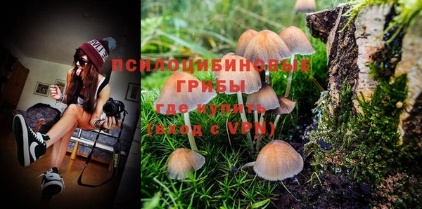 хмурый Магас