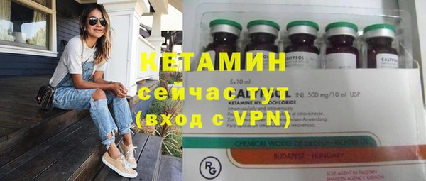хмурый Магас