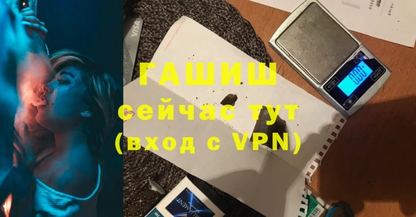 хмурый Магас