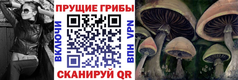 Псилоцибиновые грибы Cubensis  Чулым 